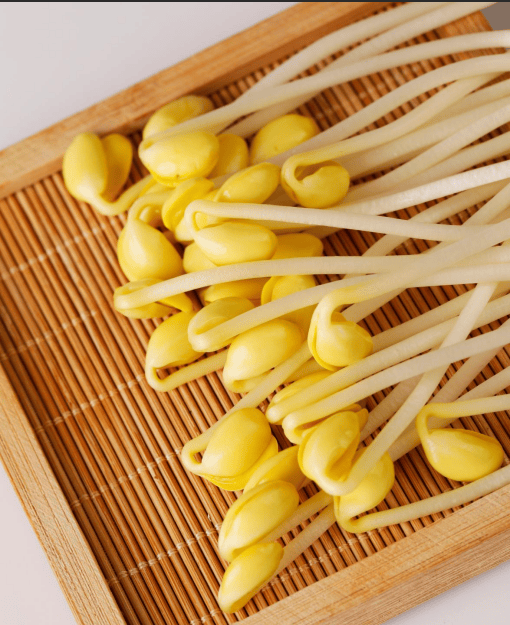 金豆子清水豆芽,藏在烟火里的本味安康