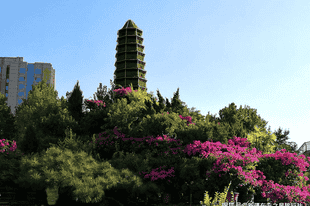 穿越天山南北,在伊犁河谷的草原、花海与雪峰间寻找新疆的夏日诗篇——一份实用旅行指南