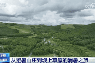 “清凉经济”让夏日文旅消费活力持续迸发 避暑游解锁N种“打开方式”