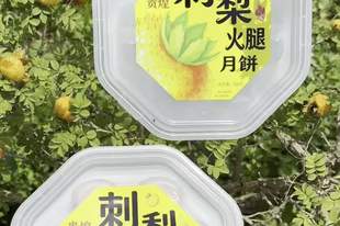 贵煌刺梨火腿月饼,酸解油腻,只留满口甘香