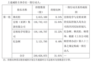财说| 业绩亏损股价走高,宏柏新材面临哪些风险?