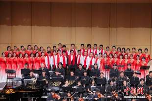 2026广州市青年文化宫管弦乐团慈善音乐会举行
