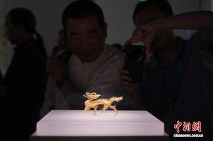 述评：我们为什么需要县级博物馆？