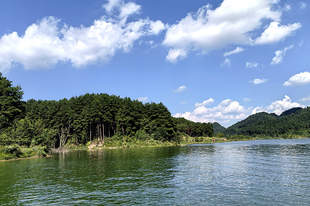 修文县香巴湖村：避暑季文艺篝火晚会答谢旅居客人