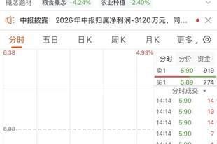 半年报亏损扩大，牛散逆势买入国投丰乐