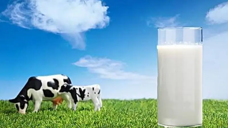 别再传了！复原乳真的很可靠！