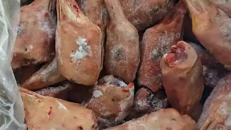 鹅肝在餐饮应用中的选型关注点与适配场景分析