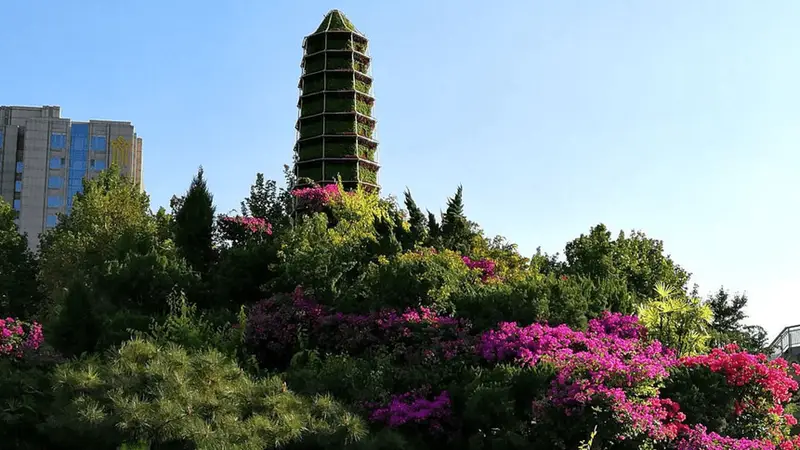 穿越天山南北，在伊犁河谷的草原、花海与雪峰间寻找新疆的夏日诗篇——一份实用旅行指南
