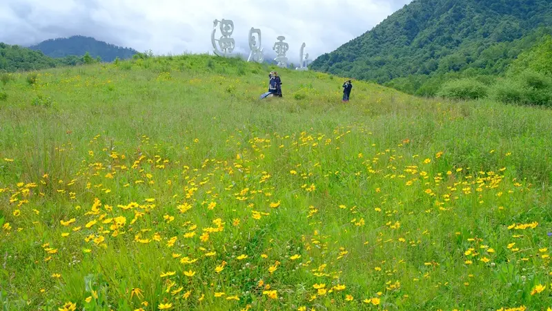 四川石棉：摄影基地百花开，避暑拍照两相宜！