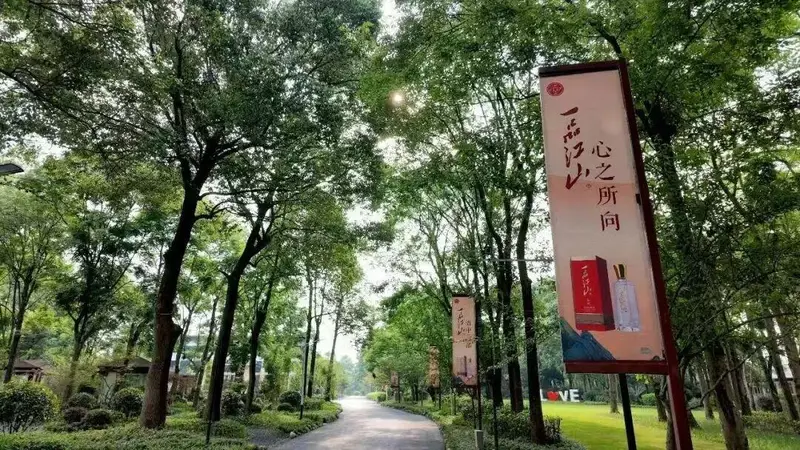 四川盆地酿酒池里有金盆地，不仅酿品质好酒更酿文化美生活