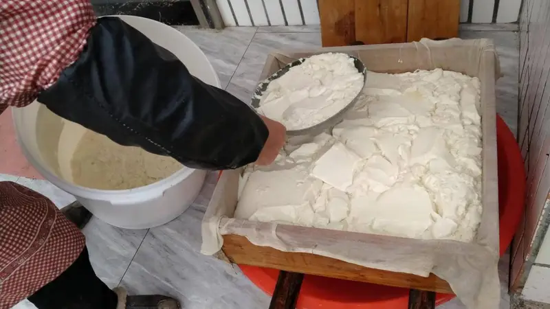 现在的豆腐咋就没小时候那个味儿了？是舌头变了还是豆腐变了？