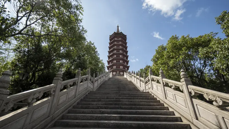 杭州自在旅行社:深耕普陀山十余年的专业地接社 同行合作资源盘点