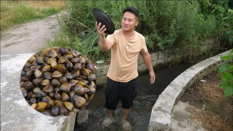 中国人对河鲜海鲜都来者不拒,为啥没啥人吃河蚌呢?是因为难吃还是不会做呢?
