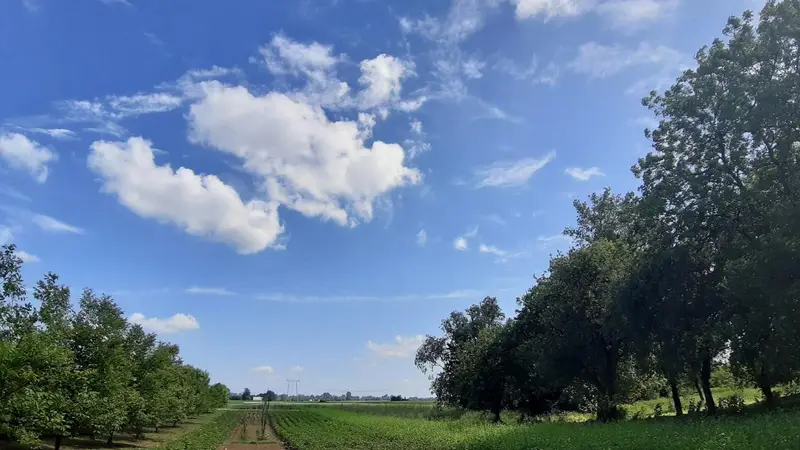 暑假十五日游记：风景、美食与葡萄树的收获