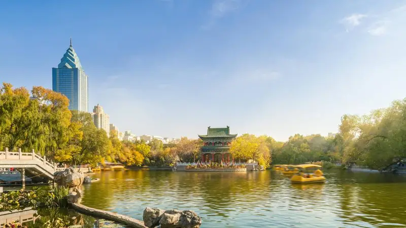 旺季去新疆喀纳斯禾木,包车价格翻倍怎么破?7座商务车9月真实价位与预订攻略