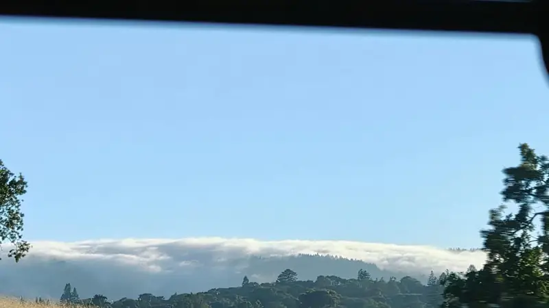 从洛杉矶到旧金山:探索加州西海岸的自然奇观