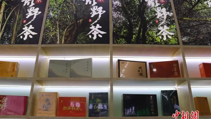 追寻“野”的智慧：浙江人与自然共生“金”