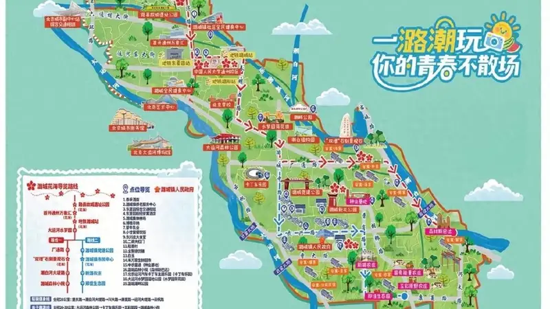 通州这里波斯菊+向日葵花海盛放！还能骑行、开卡丁车~
