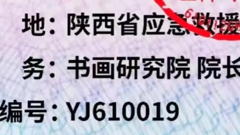 “国际应急救援中心陕西总队”被取缔，曾下设书画研究院