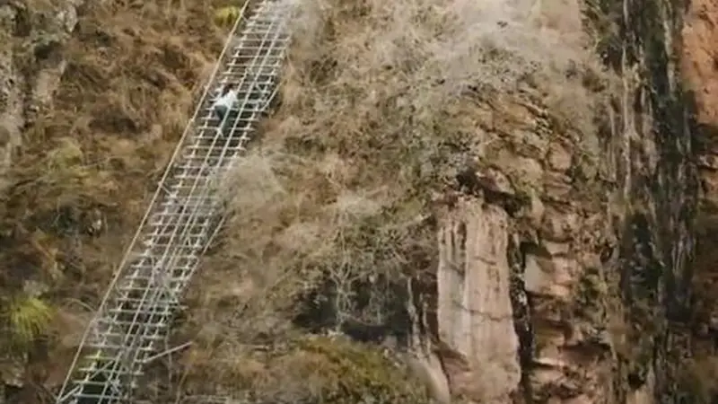 近镜头 | 总书记深情寄望青年
