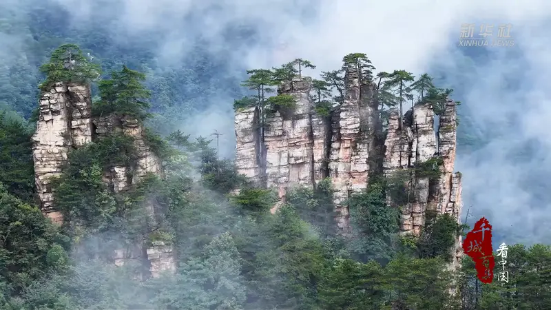千城百县看中国｜湖南张家界：壮美云海醉游人