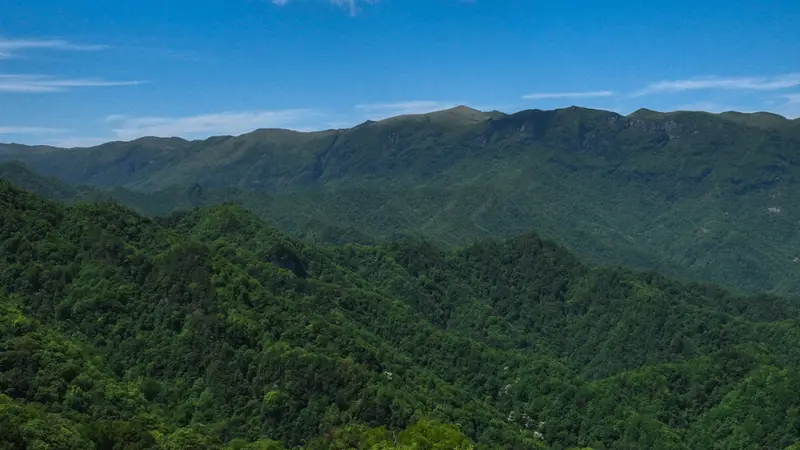22℃紫柏山,小白友好的夏日徒步胜地