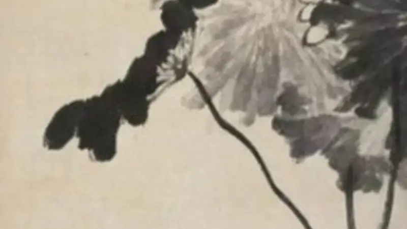 人文|八大山人的“荷”