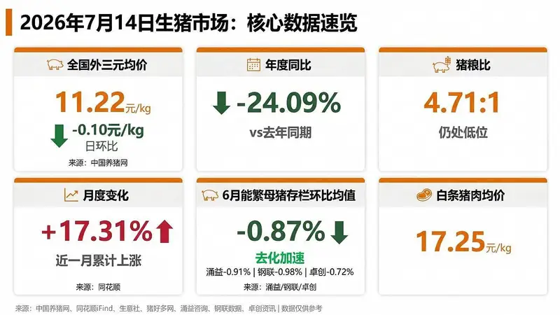 涌益/钢联/卓创三方同步确认6月能繁去化加速！机构提示：二育退潮后猪价短期或承压