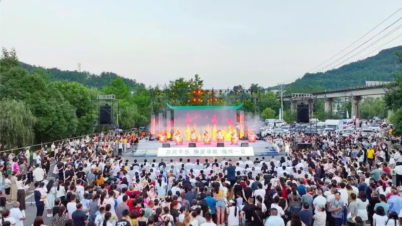 千亩荷塘 解锁消暑新玩法