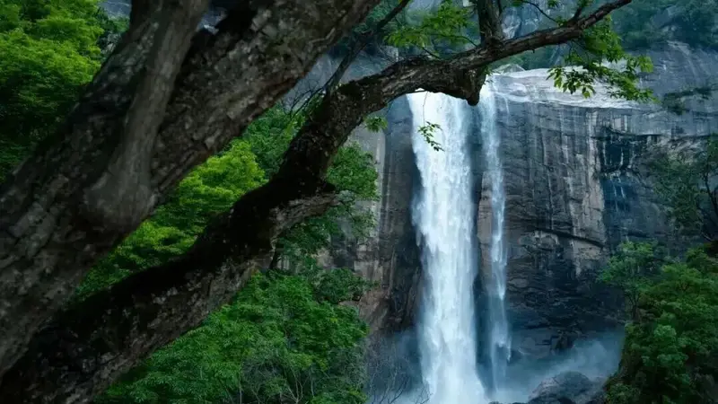 在洛阳，你的旅行人格是——