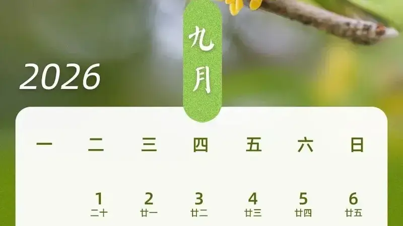 “请3天假能休13天”冲上热搜,最新拼假公式来了