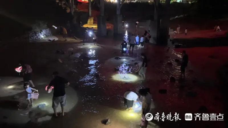 日照山海天太公岛牡蛎公园：夏日夜晚赶海“寻宝”乐趣多
