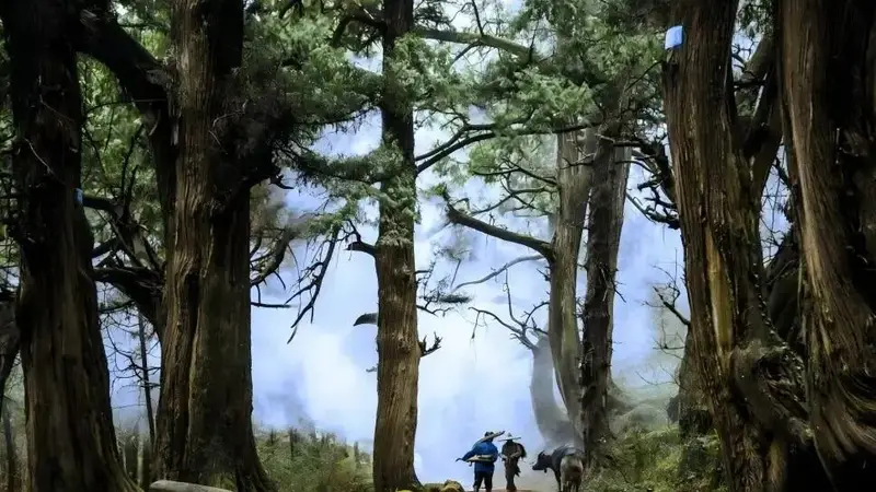 古道承古韵，新路绘新途！串联山水画卷的绵阳公路