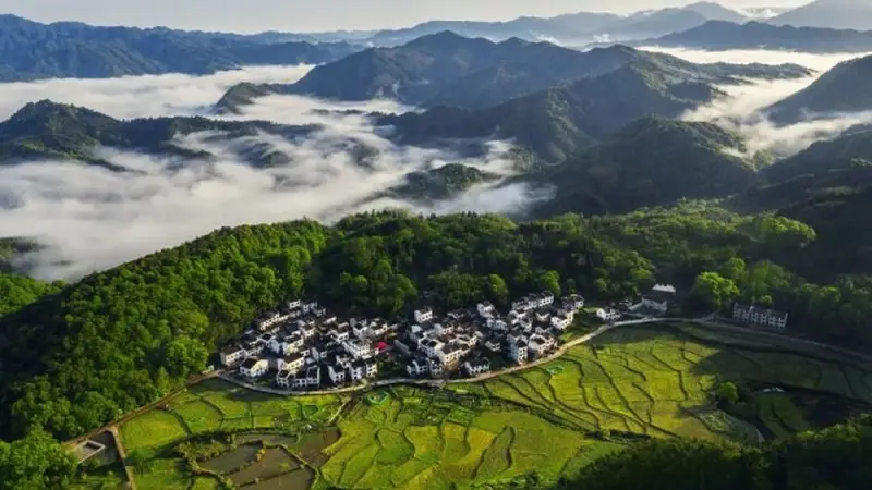 第61项，为什么在景德镇？