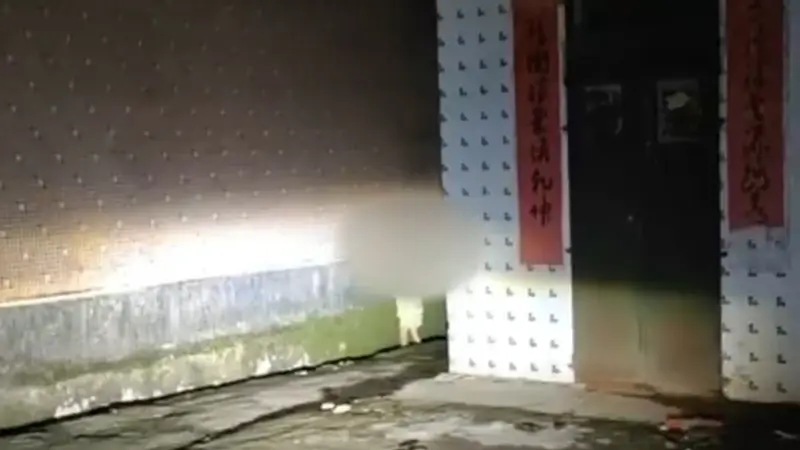 “广东4岁男童露宿街头”后续：男童获临时监护，暂未发现有心理问题