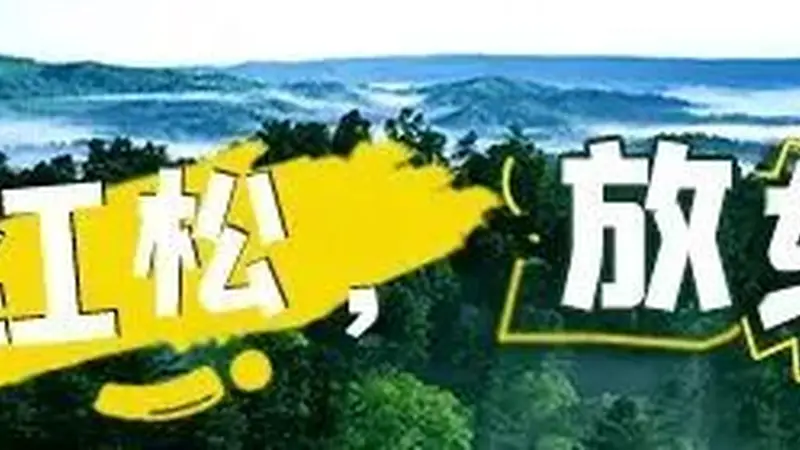 伊春市市场监督管理局关于夏季旅游业价格行为的提醒告诫书