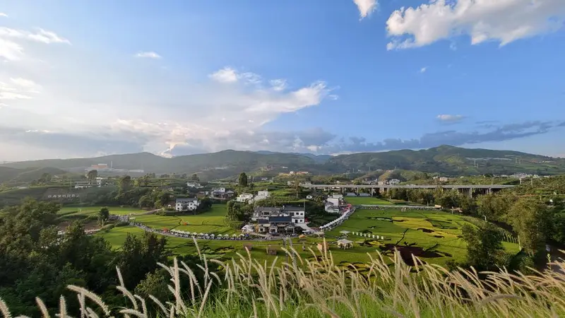 稻香里的火把节 在四川会东看到“小时候的夏天”