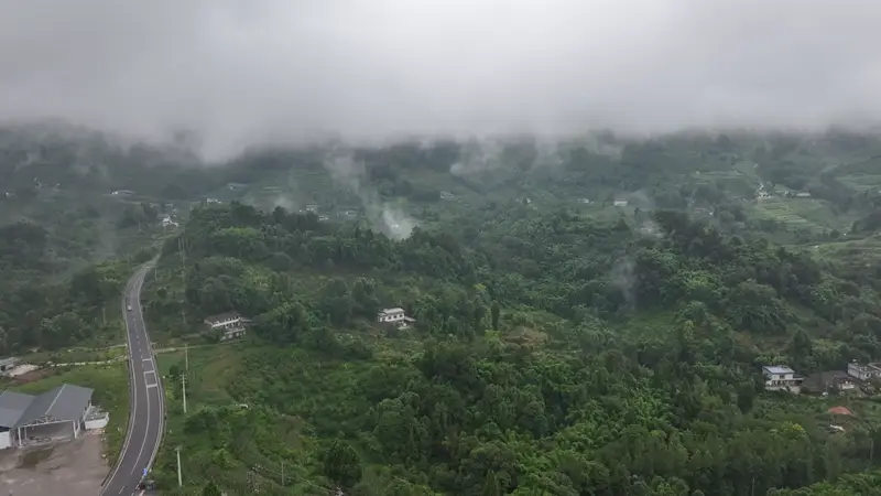 四川眉山一小村落有33对双胞胎，发生率高达5%左右，专家回应“双胞胎村”成因：遗传因素可能性最大，土壤含硒、特殊水源等无直接依据