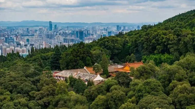 去过筇竹寺只看五百罗汉？错过这段草木传奇，等于白走一趟玉案山