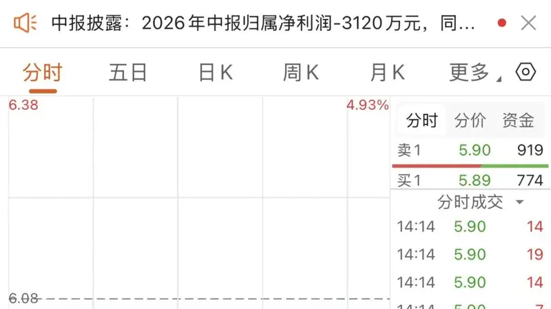 半年报亏损扩大，牛散逆势买入国投丰乐