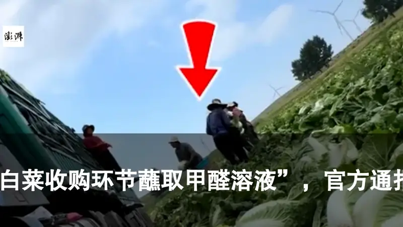 “兰州拉面”改名“青海拉面”,背后藏着多大的经济账?
