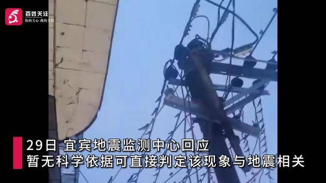 宜宾高县地震前数百只燕子聚集电线杆 官方:无法直接判定与地震相关