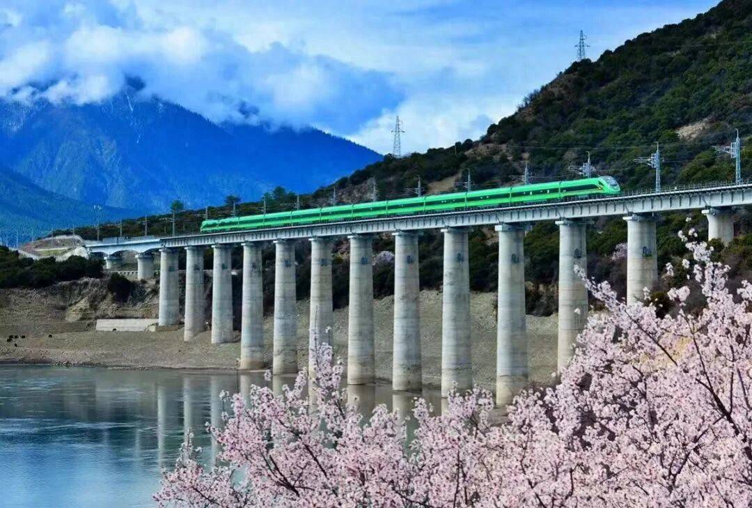 550公里穿越多年冻土!青藏铁路20年,运送旅客上亿人次