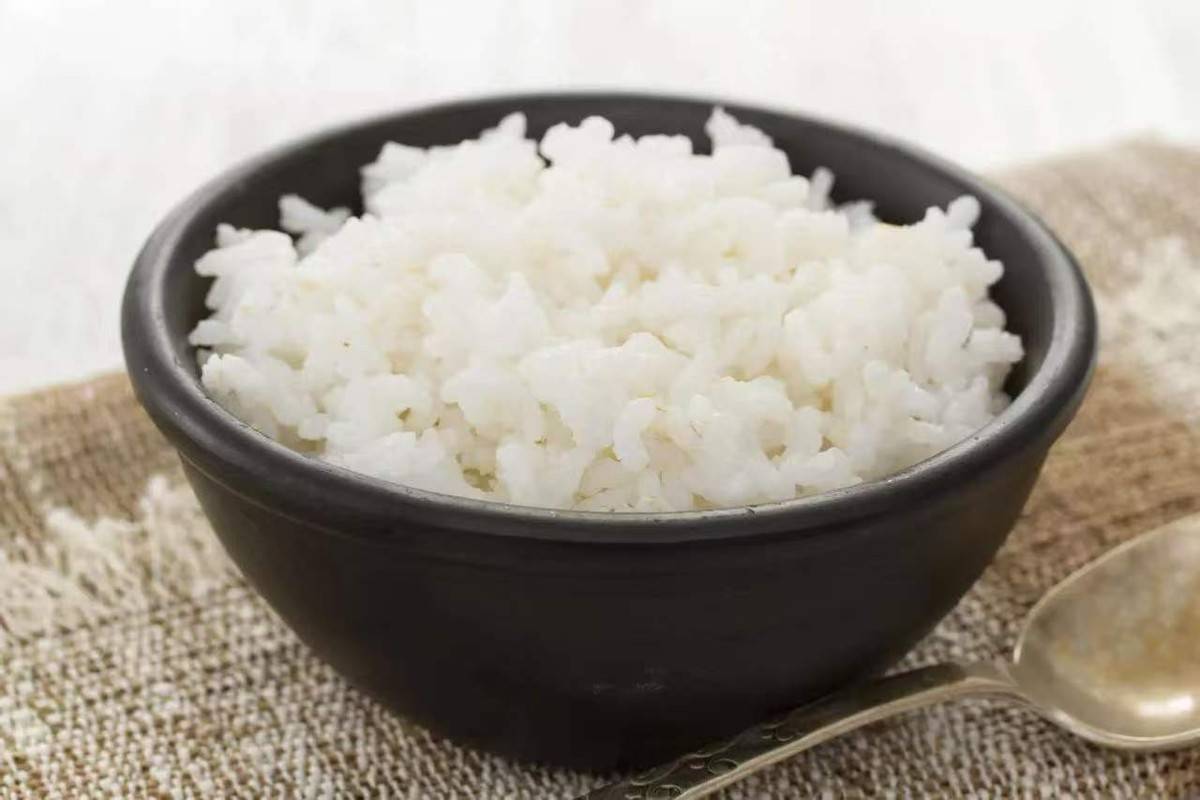 米饭、馒头和面条，减肥期间适合吃哪种主食？用实验数据告诉你