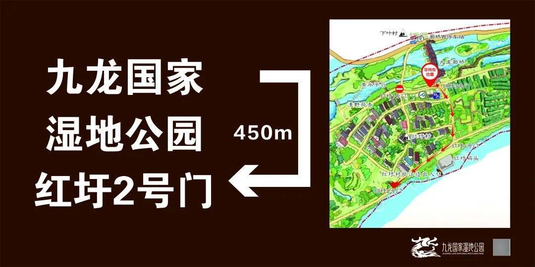 关于九龙国家湿地公园红圩一号门（临时主入口）改造提升施工公告