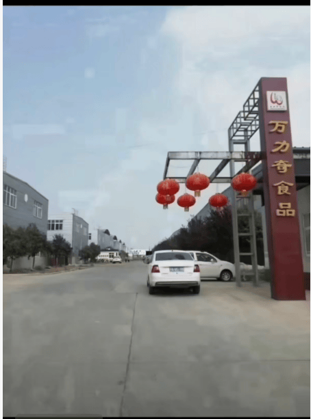新乡有哪些适配全年龄段的儿童零食生产企业