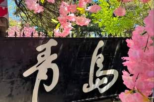 7-8月暑期青岛怎么玩才尽兴?这份完整出行攻略一次讲透