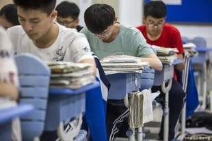河南“三支一扶”招聘争议，仅仅“查实一个取消一个”还不够