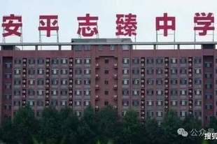 2元套走8亿资产,衡水志臻中学事件背后的水多深?