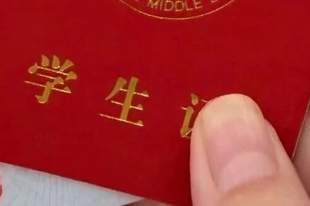 初中生持学生证买不了高铁学生票？12306回应：优惠仅限异地求学，旅游不适用